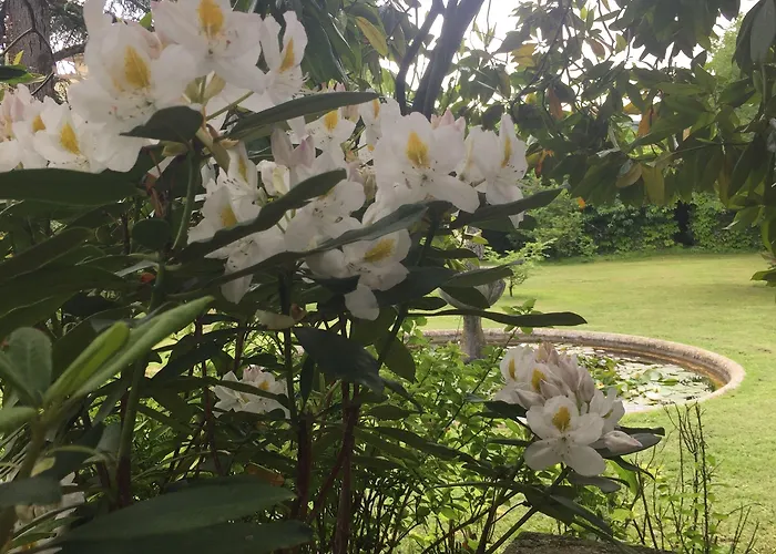 Al Parco Sala Baganza