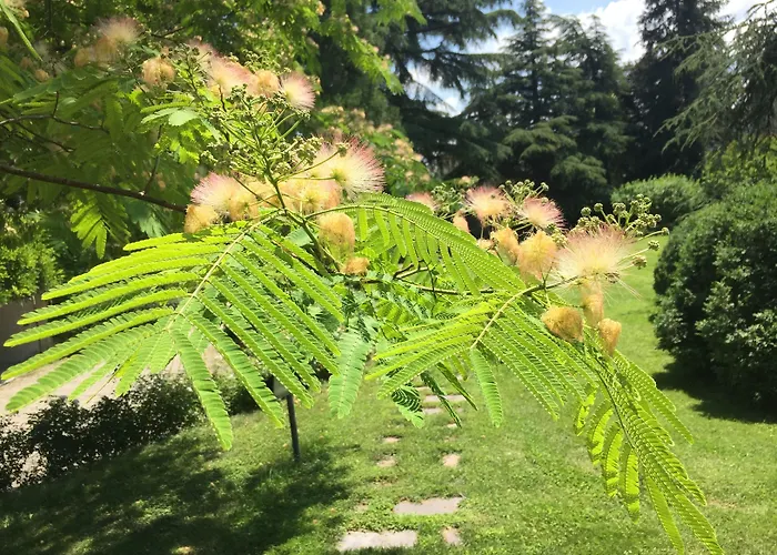 Al Parco فندق مبيت وإفطار سالا باغانزا